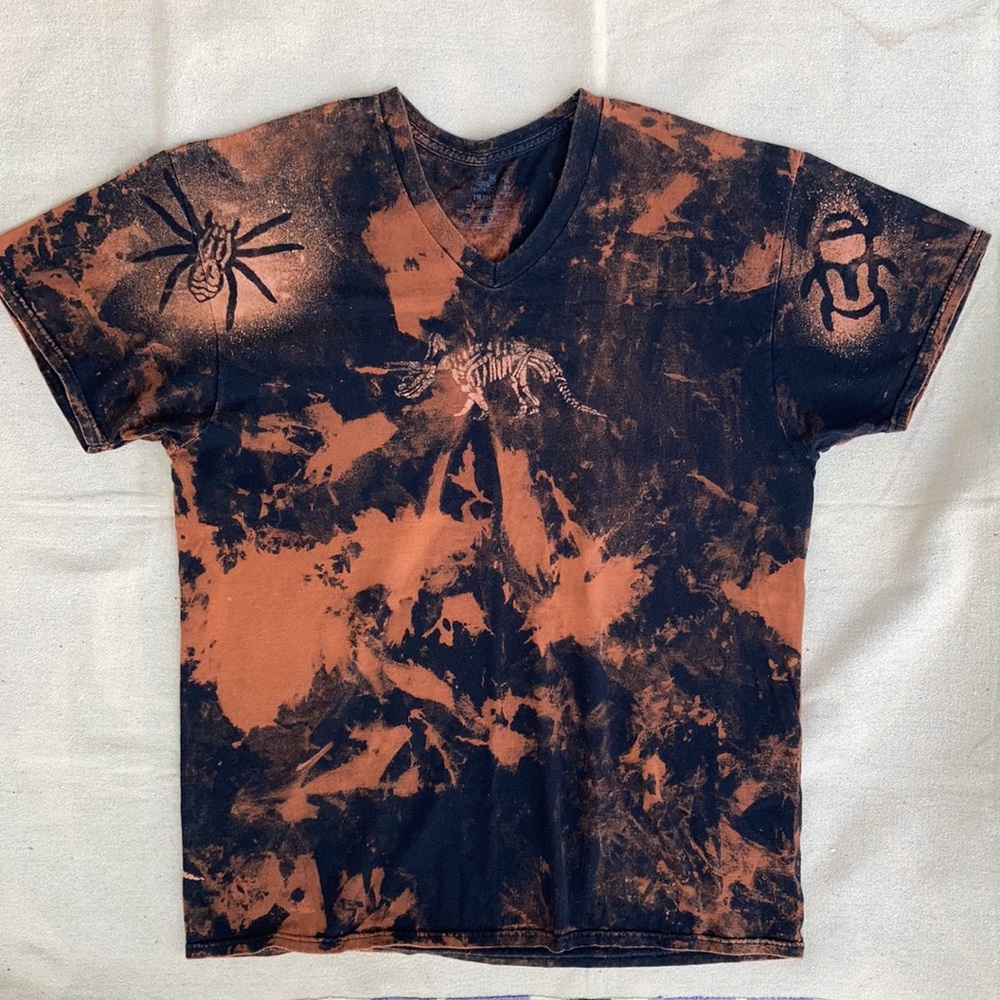 Prehistoric dyed tee dinosaurs + bugs insects : OOAK : men women